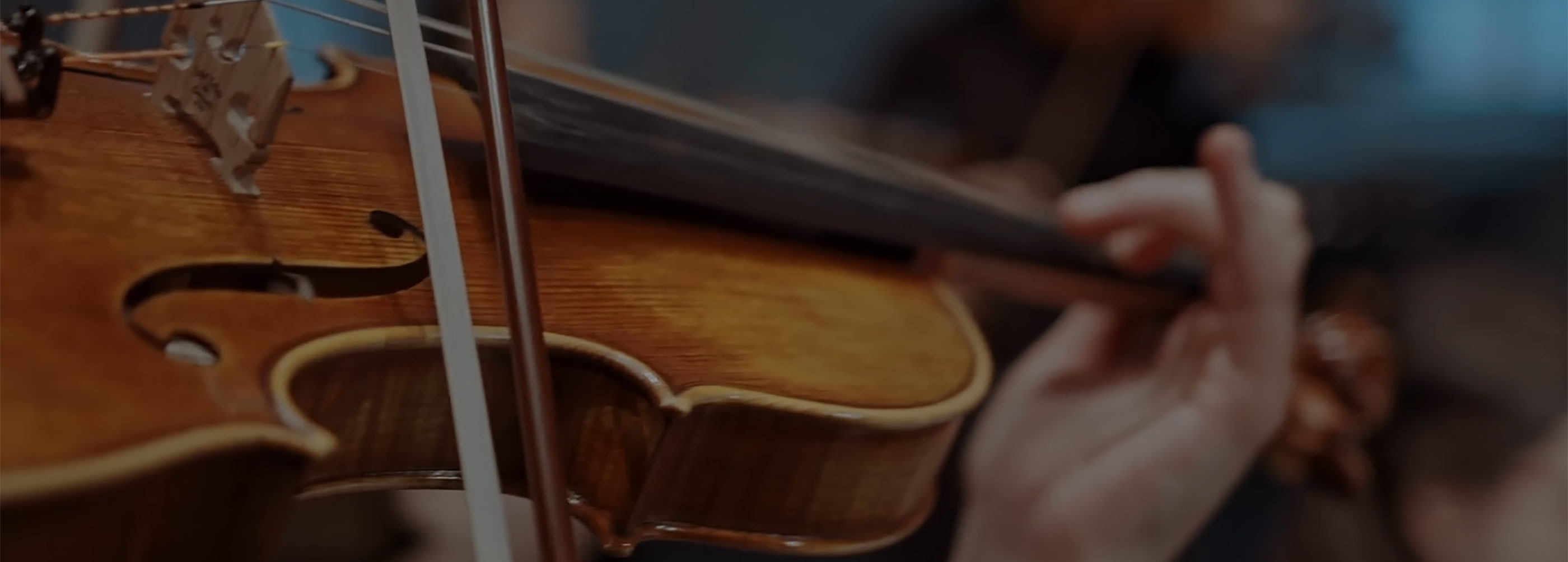 Closeup of a person playing the violin